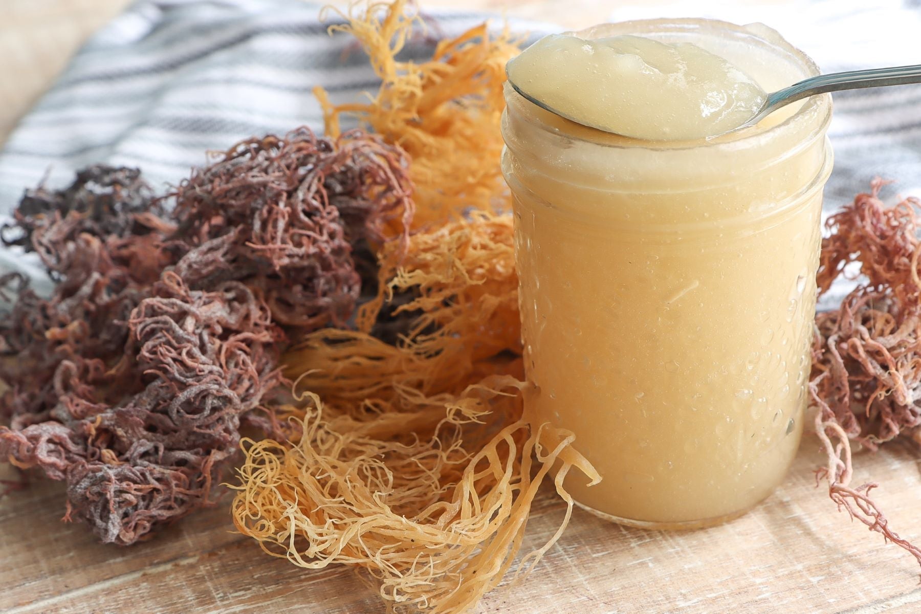 How to Select the Best Sea Moss Gel for Your Health Needs