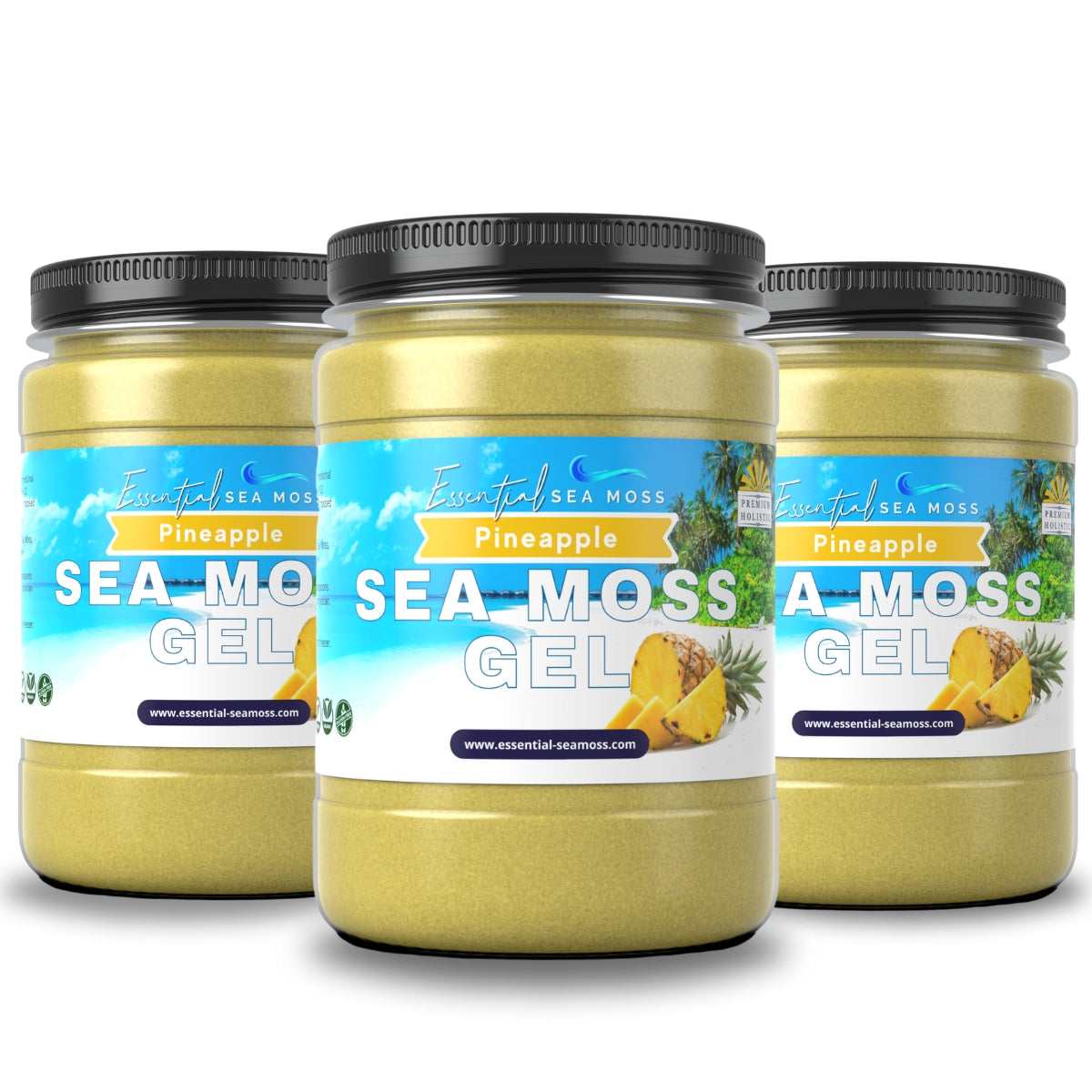 3 Month Supply Sea Moss Gel