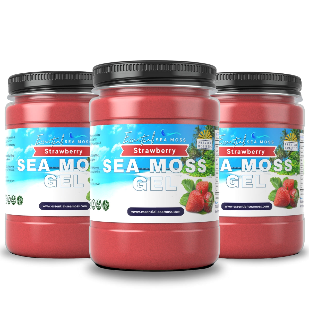 3 Month Supply Sea Moss Gel