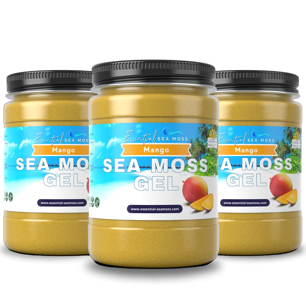 3 Month Supply Sea Moss Gel