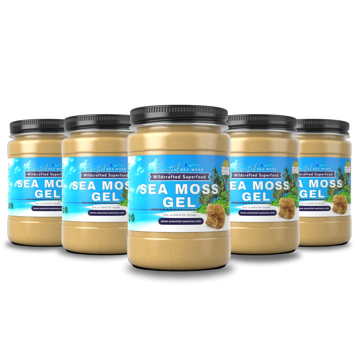 5 Month Supply Sea Moss Gel