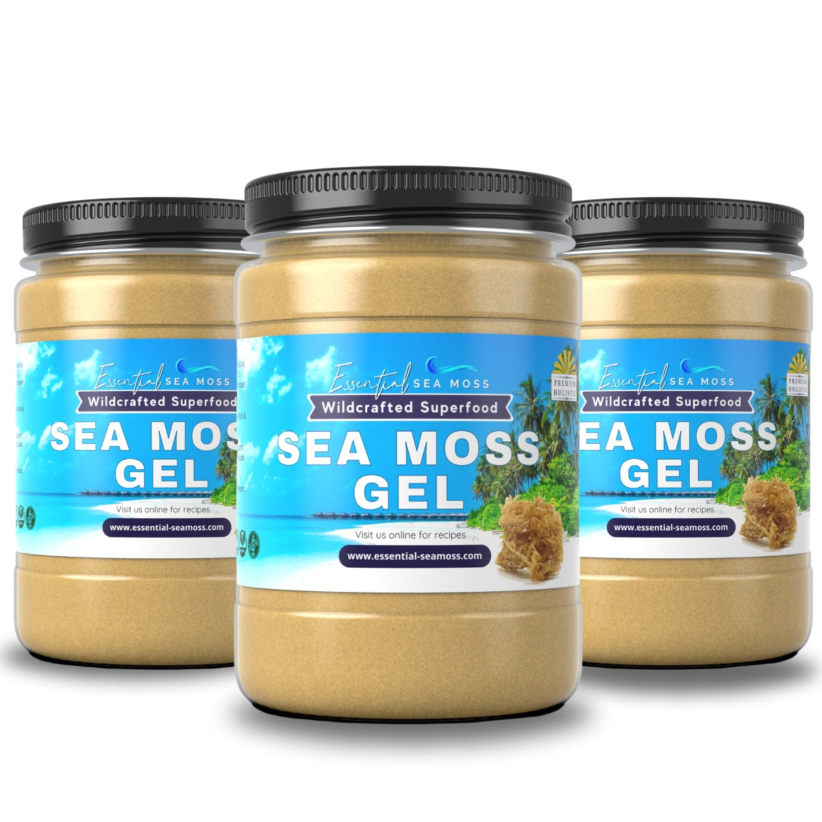 3 Month Supply Sea Moss Gel