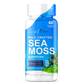 Sea Moss Gummies