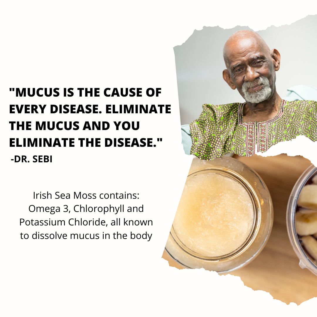 Dr. Sebi Inspired Sea Moss Gel Shop Essential Sea Moss 